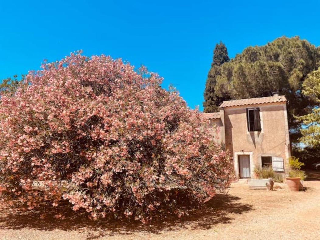 Casa Cote Sud - Mas Bois Fontaine Villa Nimes Exterior photo